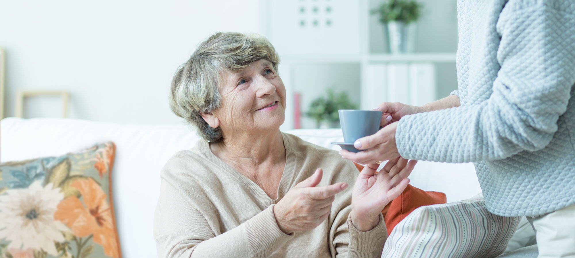 Burlington Care Burlington Care